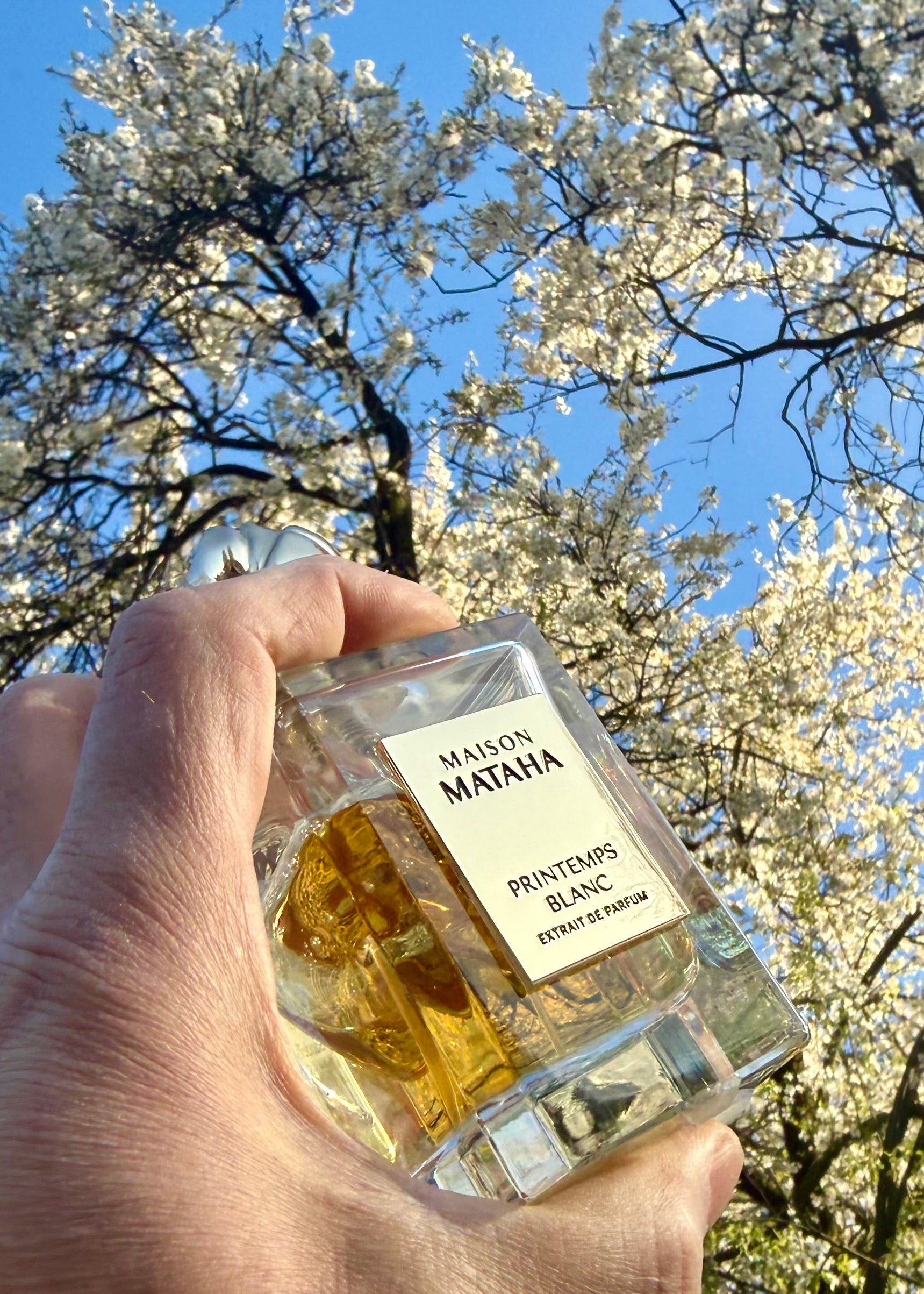 MAISON MATAHA - PRINTEMPS BLANC