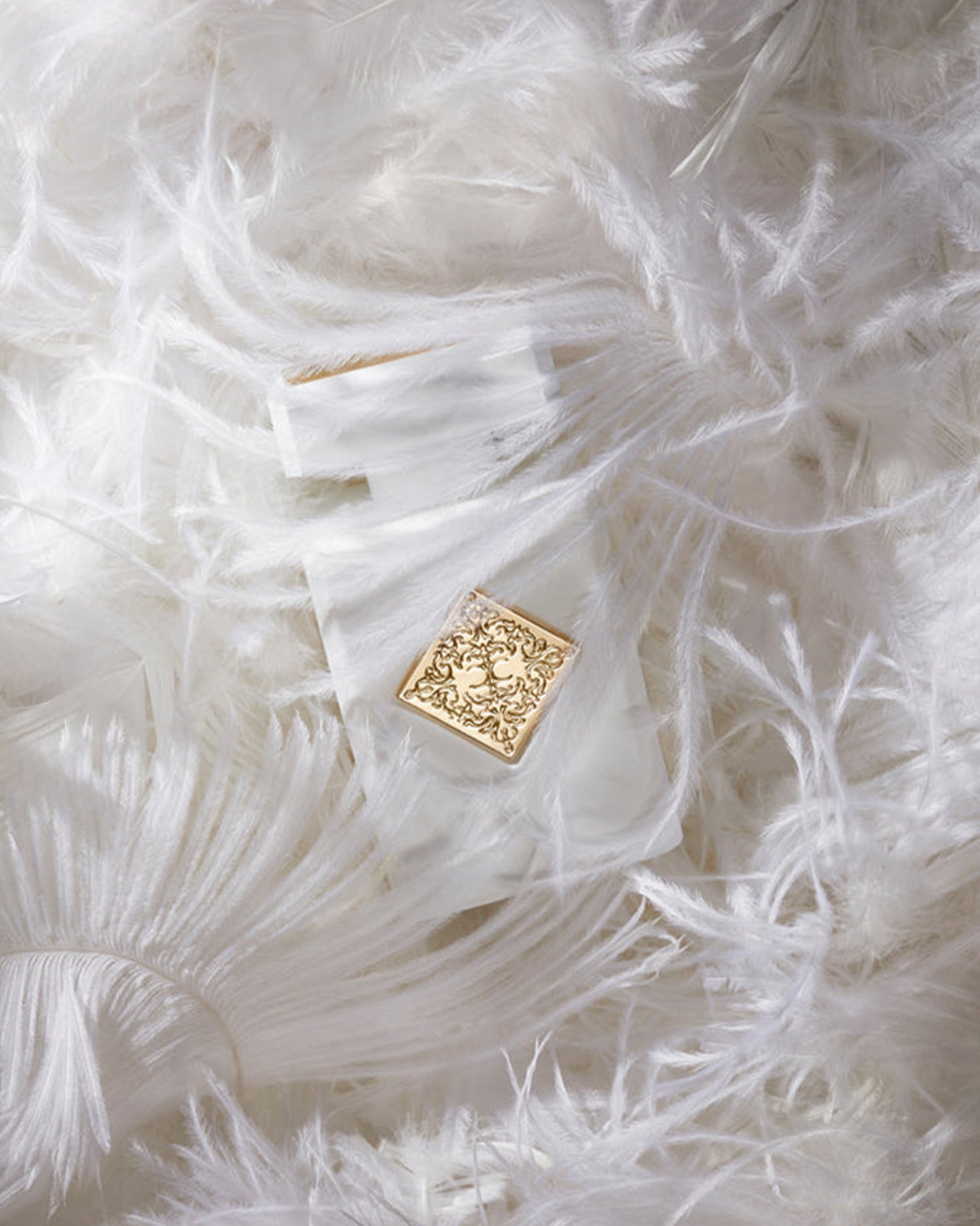 INITIO - MUSK THERAPY