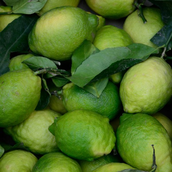 CZECH & SPEAKE - AMBER 7