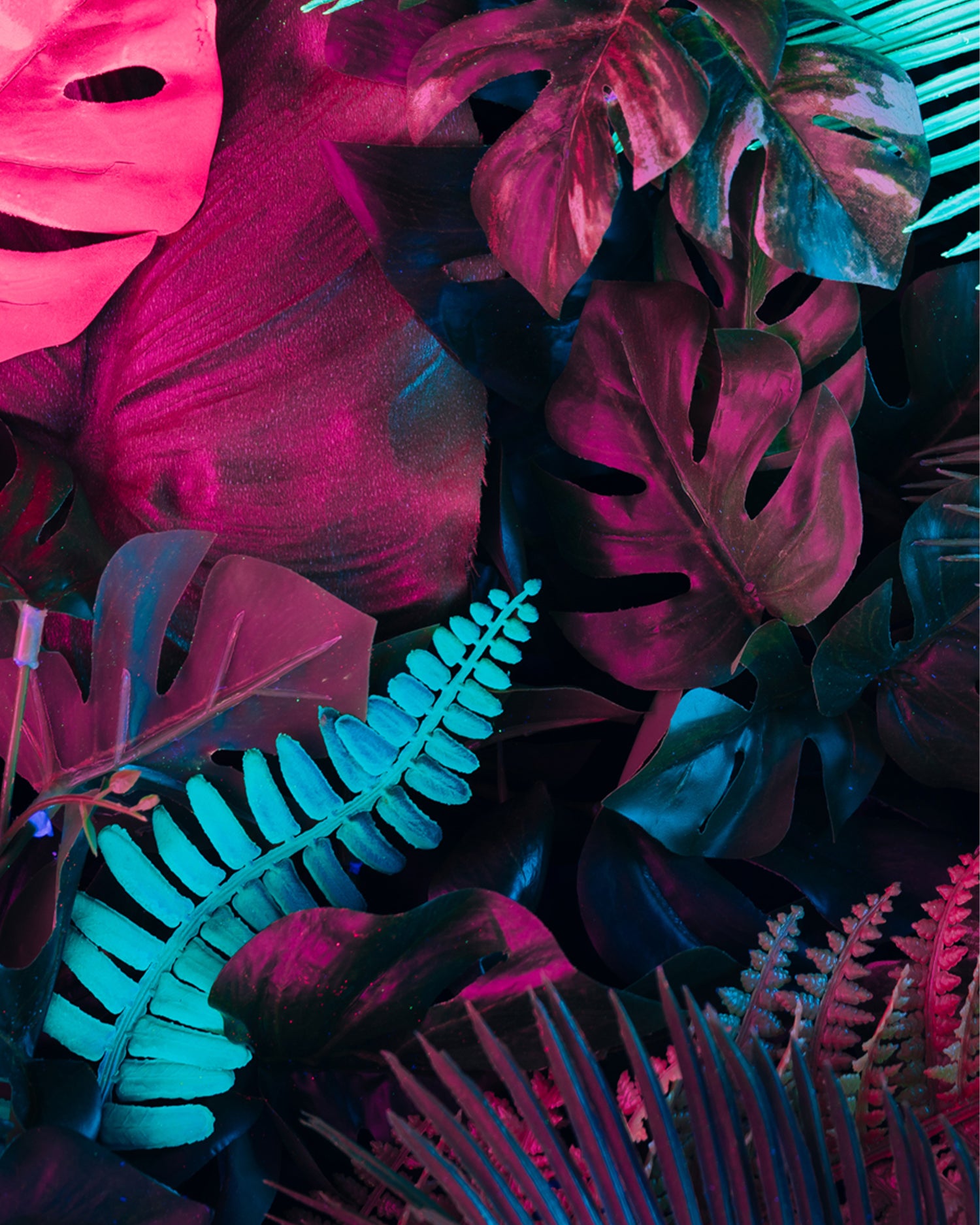 MAISON CRIVELLI - EXTRAIT DE PARFUM - AMBRE CHROMATIQUE