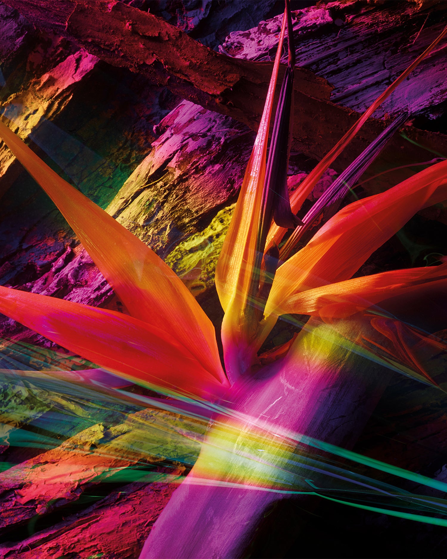 MAISON CRIVELLI - EXTRAIT DE PARFUM - AMBRE CHROMATIQUE