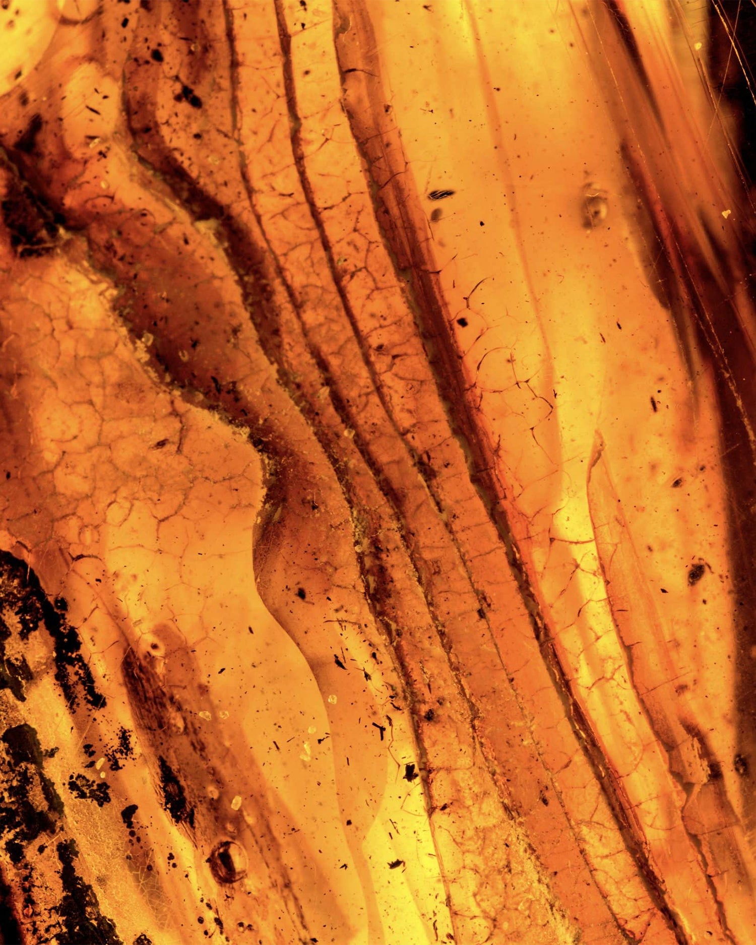 MAISON CRIVELLI - EXTRAIT DE PARFUM - AMBRE CHROMATIQUE