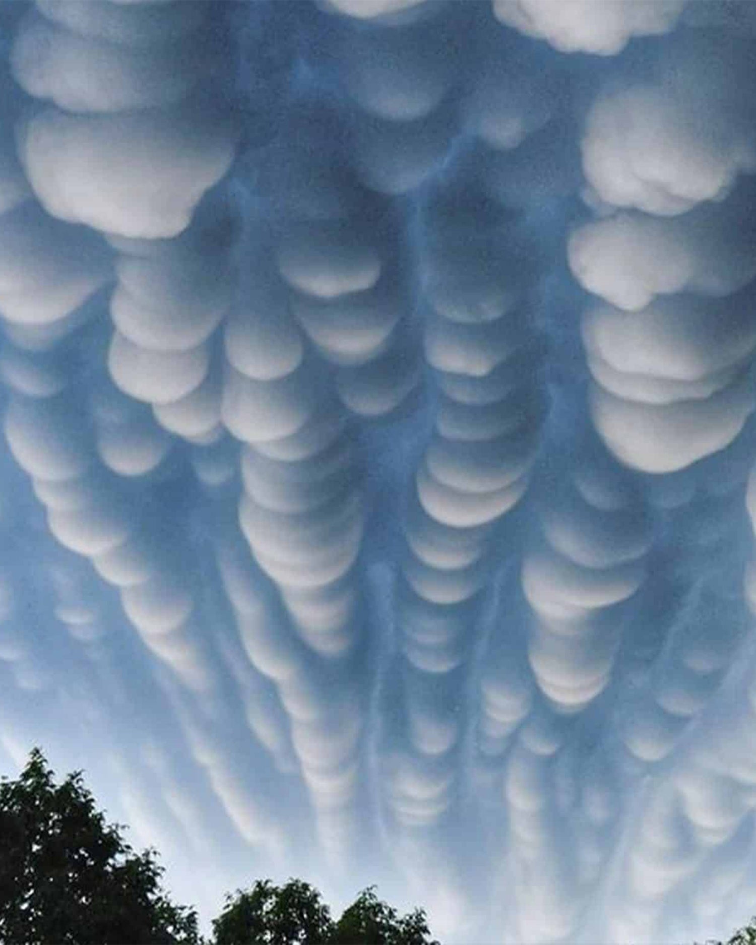 MAISON CRIVELLI - EXTRAIT DE PARFUM - PATCHOULI MAGNETIK