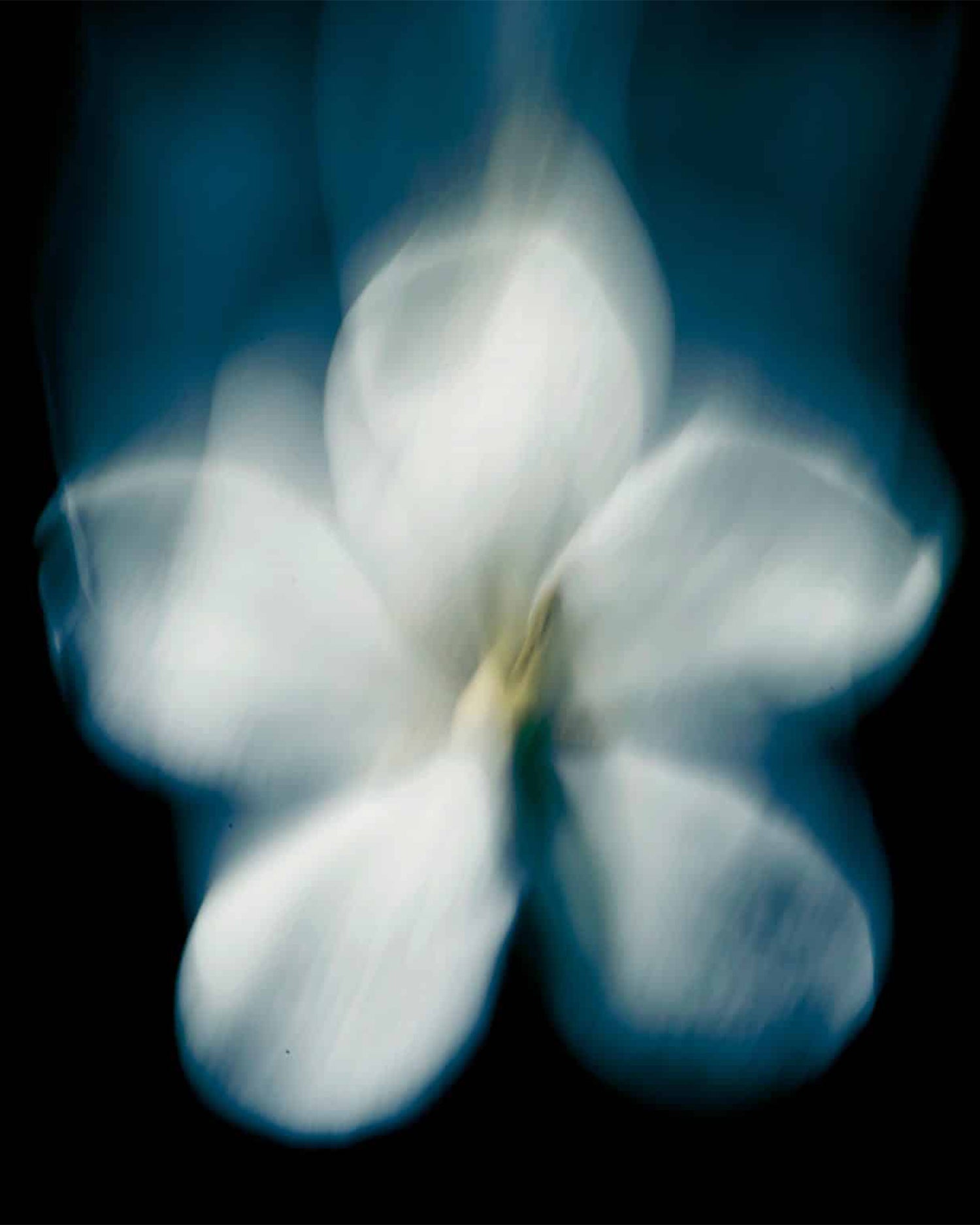 MAISON CRIVELLI - EXTRAIT DE PARFUM - PATCHOULI MAGNETIK