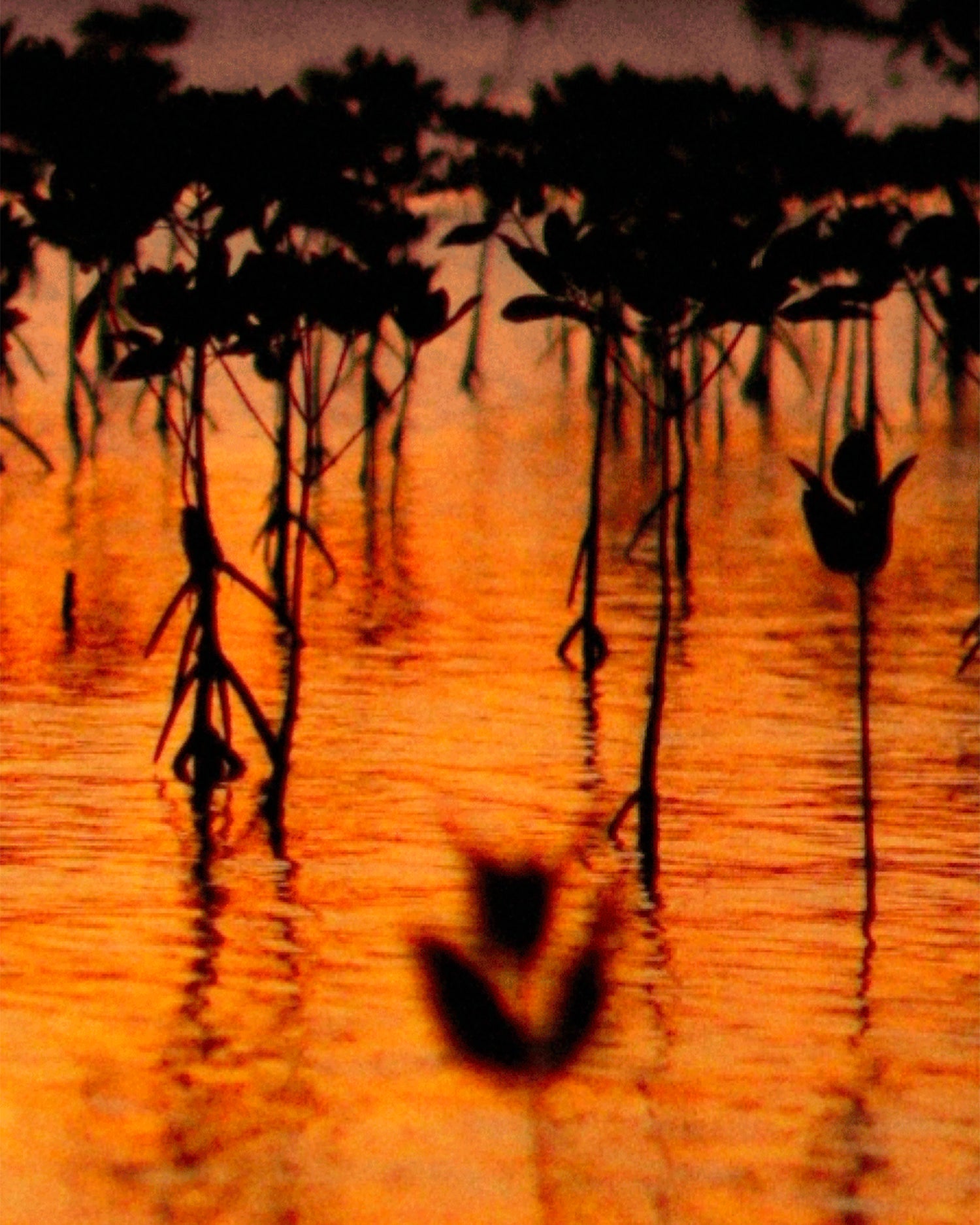 MAISON CRIVELLI - EXTRAIT DE PARFUM - OUD MARACUJA