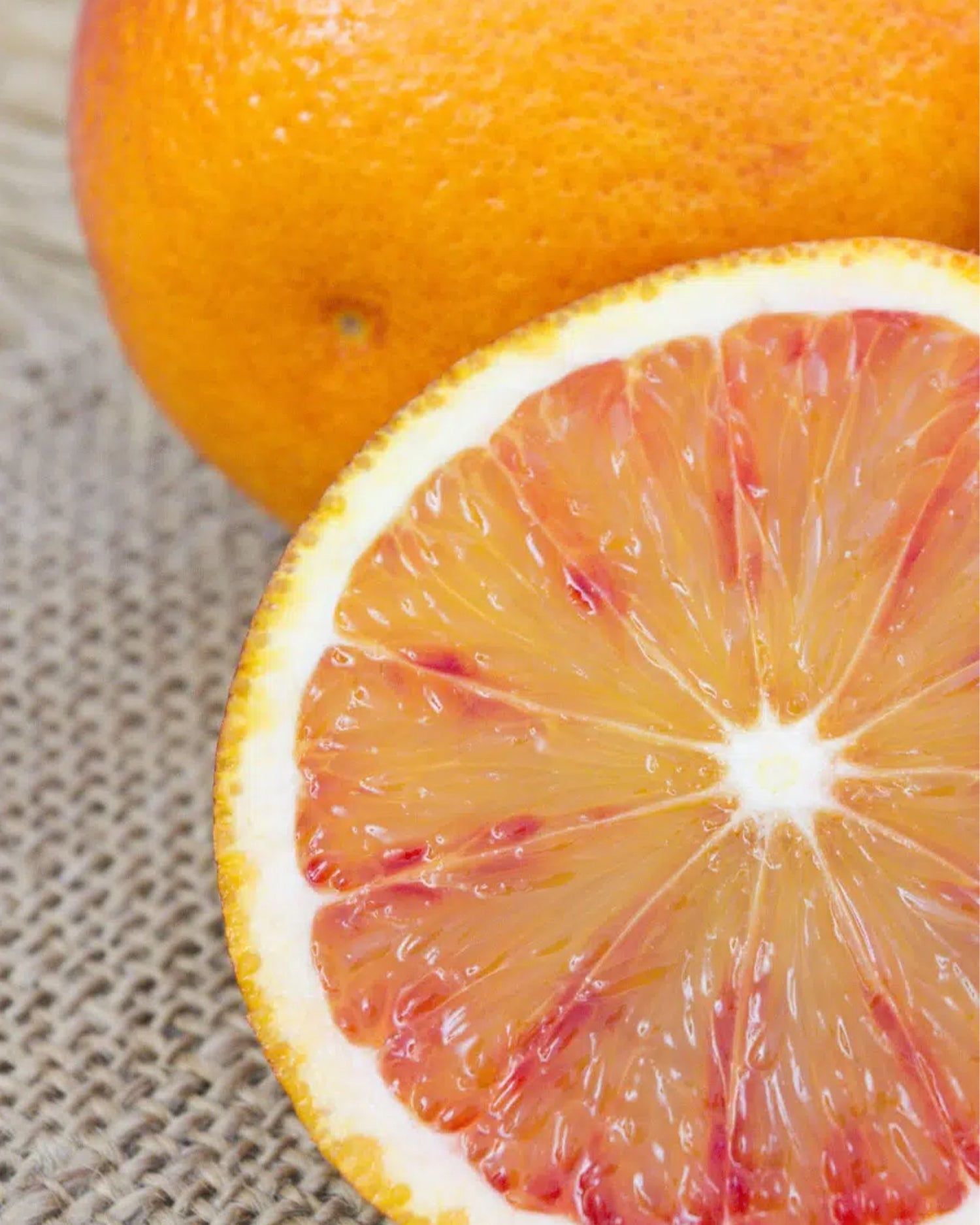 MAISON CRIVELLI - EAU DE PARFUM - Rose Saltifolia