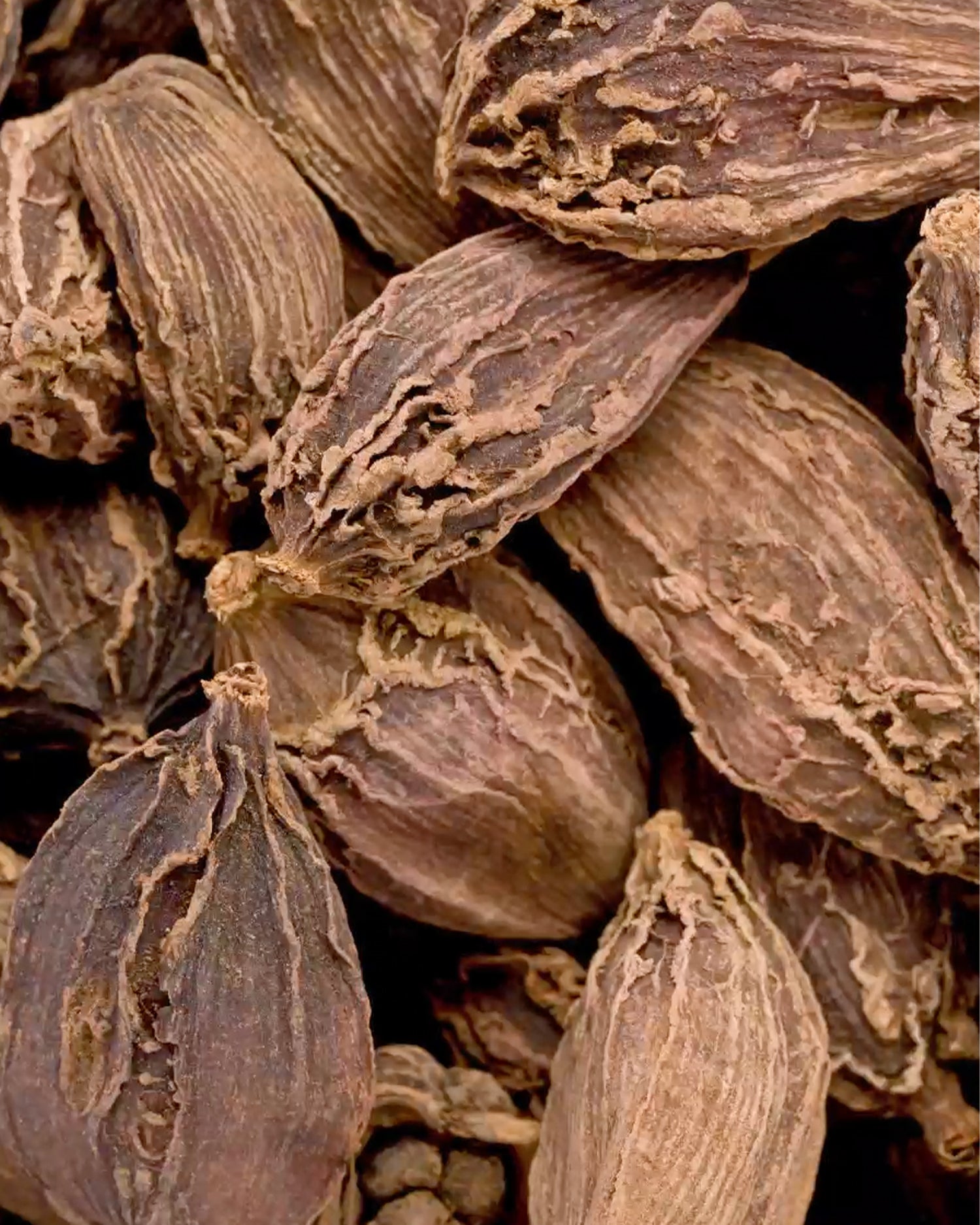 MAISON CRIVELLI - EAU DE PARFUM - Santal Volcanique