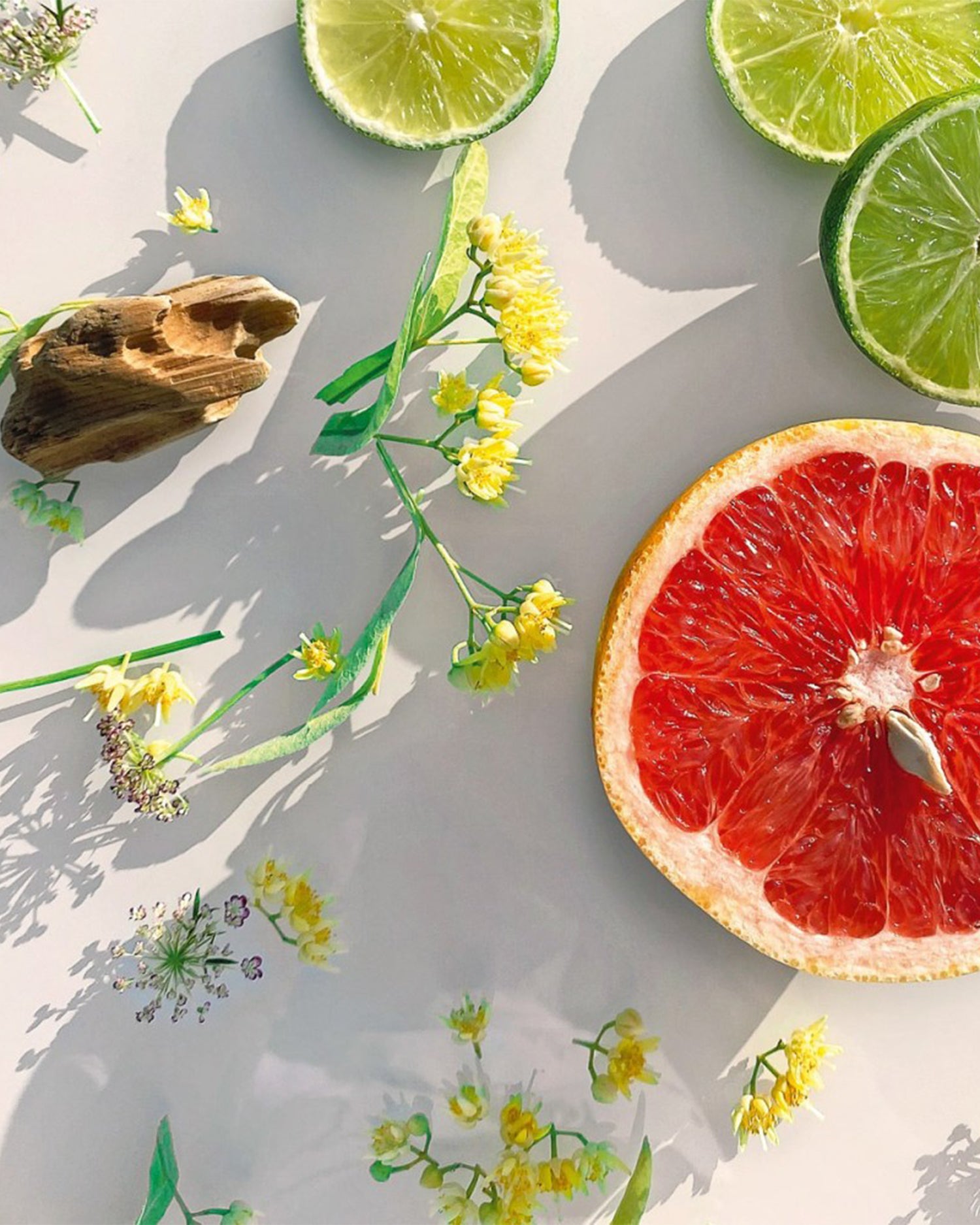 MICALLEF - OSAÏTO 100ml