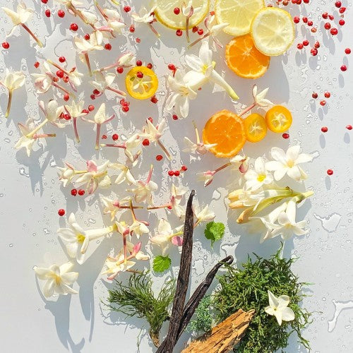 MICALLEF - EDENFALLS 100ml