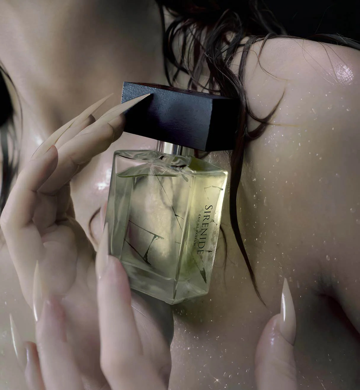 BEAUFORT LONDON - SIRENIDE