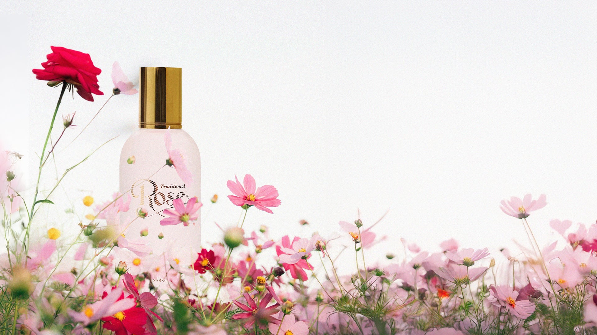 CZECH & SPEAKE - ROSE